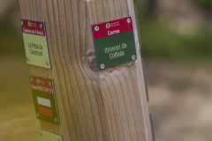 14a CAMINADA POPULAR  PENYES  BARÇA _215.JPG