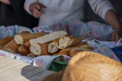 14a CAMINADA POPULAR  PENYES  BARÇA _220.JPG