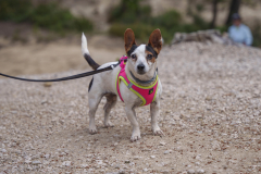 14a CAMINADA POPULAR  PENYES  BARÇA _227.JPG