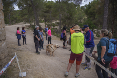 14a CAMINADA POPULAR  PENYES  BARÇA _228.JPG