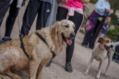 14a CAMINADA POPULAR  PENYES  BARÇA _229.JPG