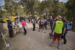 14a CAMINADA POPULAR  PENYES  BARÇA _234.JPG