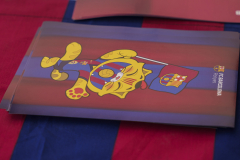 14a CAMINADA POPULAR  PENYES  BARÇA _390.JPG