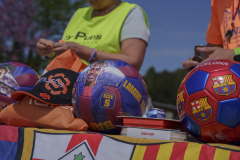 14a CAMINADA POPULAR  PENYES  BARÇA _468.JPG