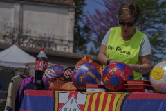 14a CAMINADA POPULAR  PENYES  BARÇA _471.JPG