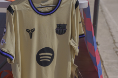 14a CAMINADA POPULAR  PENYES  BARÇA _488.JPG