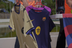 14a CAMINADA POPULAR  PENYES  BARÇA _503.JPG